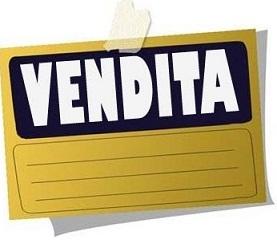 Vendita Luce Pulsata Estetica